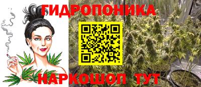 стаф Ливны