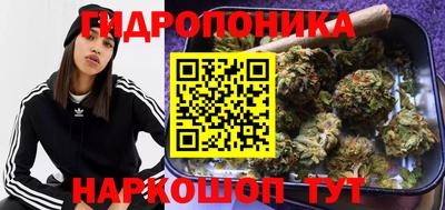 прущие крисы Лесосибирск